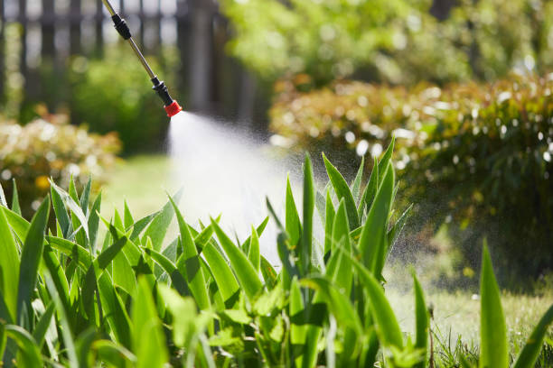 24/7 Emergency Mosquito Control experts in Rosebud, SD
